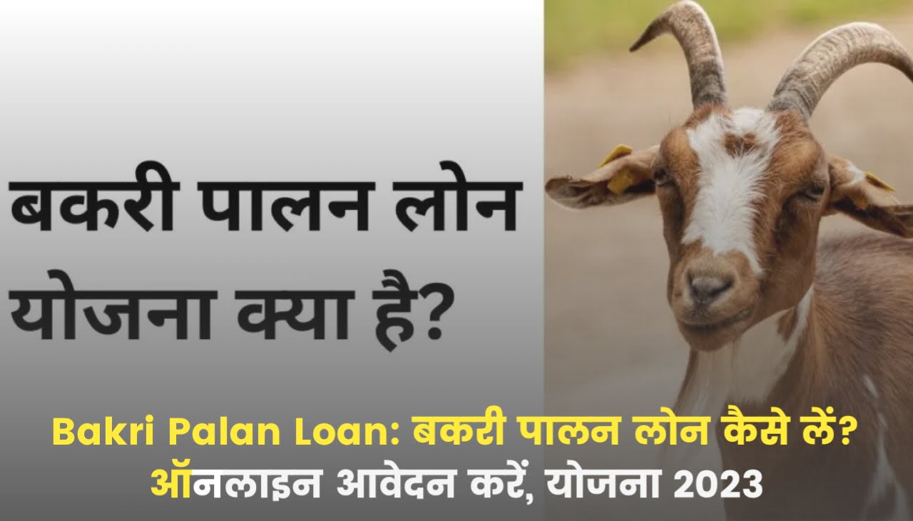 Bakri Palan Loan : बकरी पालन लोन कैसे लें? ऑनलाइन आवेदन करें, योजना 2023