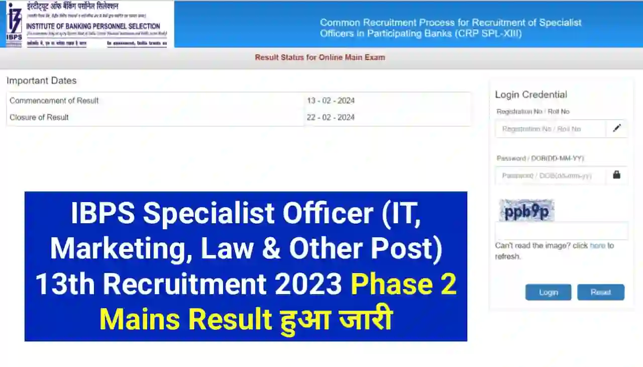 IBPS Specialist Officer Phase 2 Mains Result 2024 Download